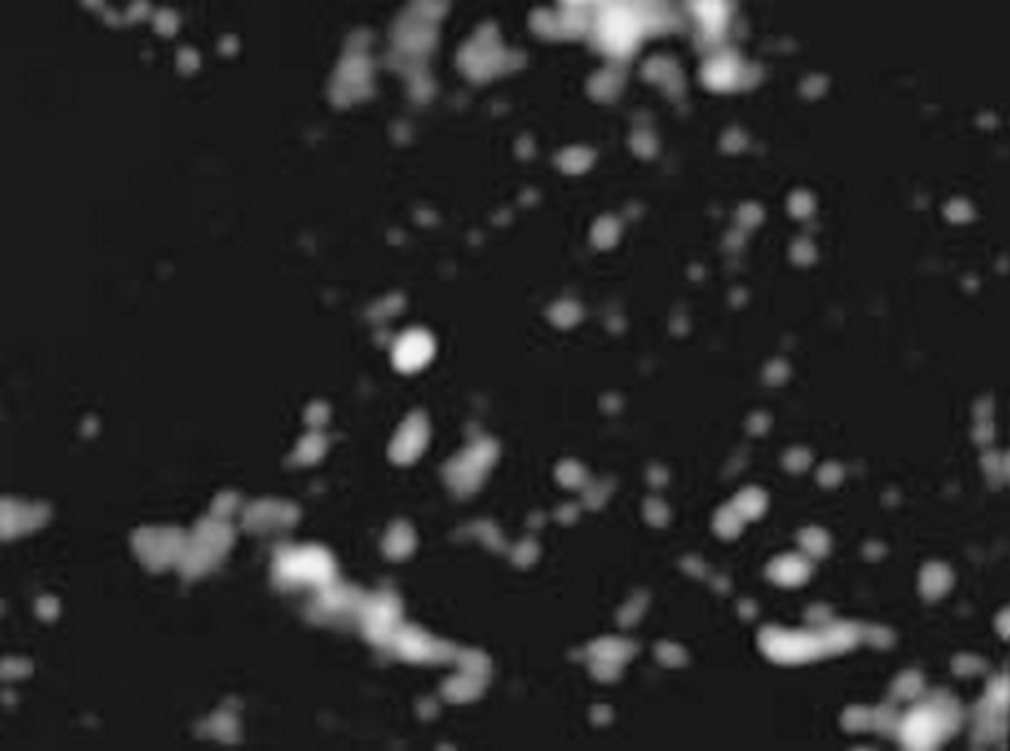 CR31-Image20.jpg