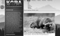 Thumbnail for version as of 21:08, 20 March 2021