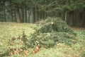Thumbnail for version as of 10:45, 19 June 2011