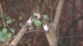 Thumbnail for version as of 05:01, 18 April 2008