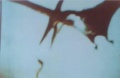 Thumbnail for version as of 09:40, 24 March 2010