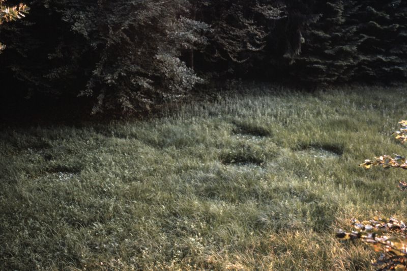 File:CR59-Image1.jpg