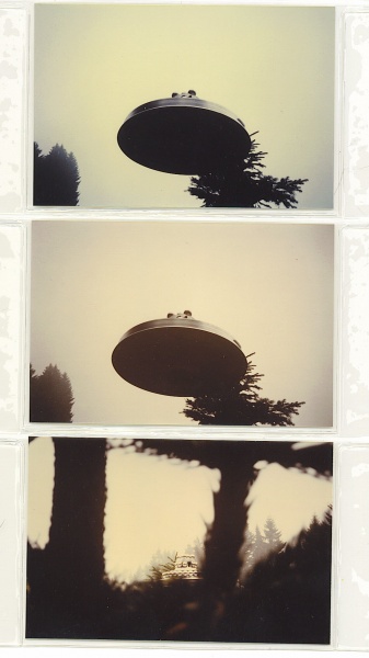 File:2nd set of 3.jpeg