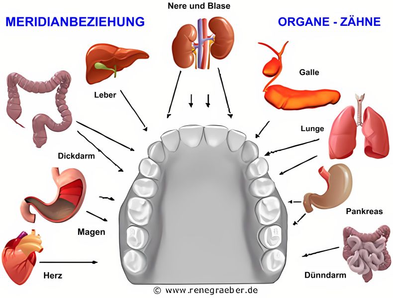File:FA2-Image3-GER.jpg