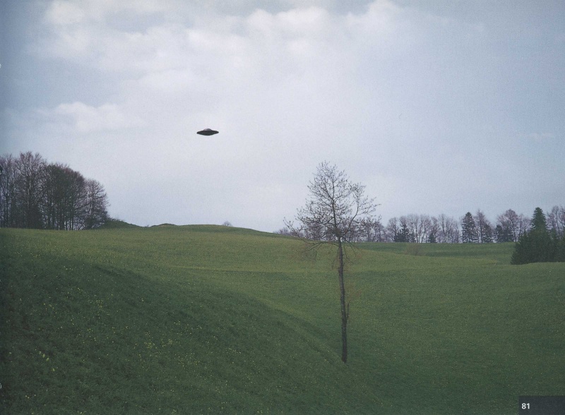 File:CR8Pic4.jpg