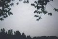 Thumbnail for version as of 04:33, 3 February 2022