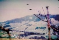 Ufobillymeier8.jpg