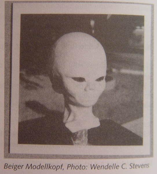 File:The Beige (Whitish-Brown) Model Head.jpeg