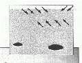 Korff1995analysis4-4.gif